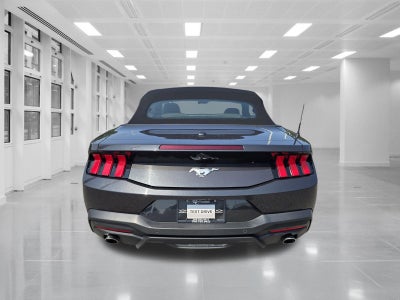2024 Ford Mustang EcoBoost Convertible